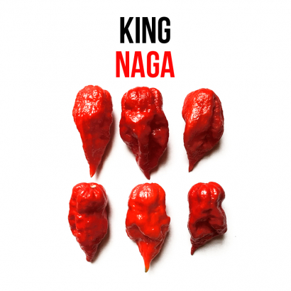 King Naga chili paprika növényem fa kaspóban