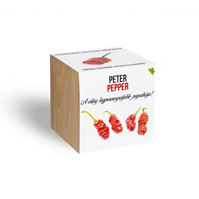 Peter Pepper chili paprika növényem fa kaspóban