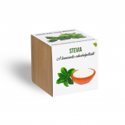 Stevia növényem fa kaspóban