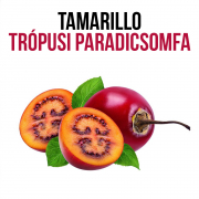 Tamarillo - Trópusi paradicsomfa - növényem fa kaspóban