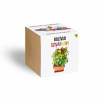Bolíviai szivárvány chili paprika növényem fa kaspóban Bolíviai szivárvány chili paprika növényem fa kaspóban