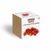 Carolina reaper chili paprika növényem fa kaspóban Carolina reaper chili paprika növényem fa kaspóban