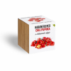 Piros habanero chili paprika növényem fa kaspóban Piros habanero chili paprika növényem fa kaspóban