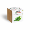 Jalapeno chili paprika növényem fa kaspóban Jalapeno chili paprika növényem fa kaspóban