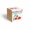 Nepáli harang chili paprika növényem fa kaspóban Nepáli harang chili paprika növényem fa kaspóban